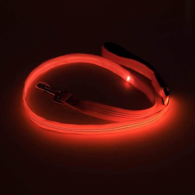 Candofly LED Dog Leash Rechargeable, 4 Ft Glow in The Dark Light Up Dog Leash, Nylon Reflective Dog