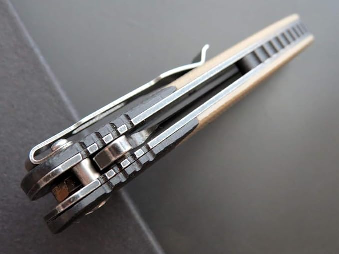 Eafengrow EF67 Pocket Knife with Metal Clip,D2 Steel Blade G10 Handle EDC folding knife Tool Liner