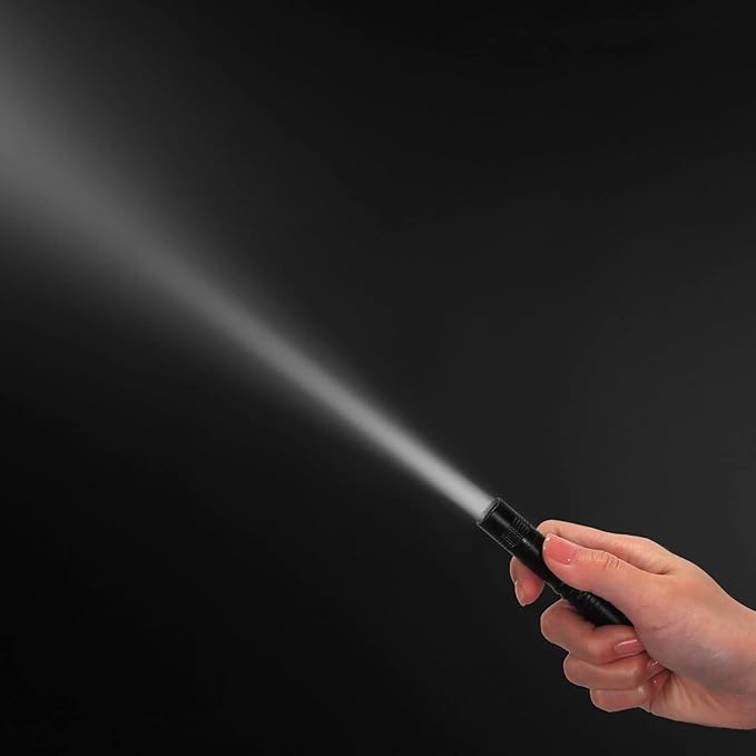 Hortsun 10 Pcs Mini Flashlight Bulk LED Pen with Pocket Small Flashlight with Clip for Outdoor