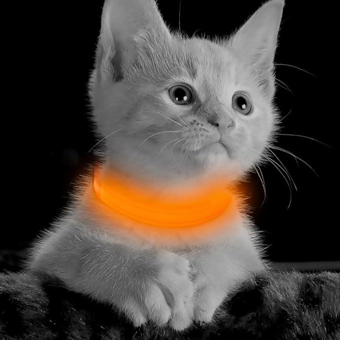 BSEEN Light Up Dog Collar, Reflective LED Dog Collar Rechargeable Glowing Puppy Collar for Puppies