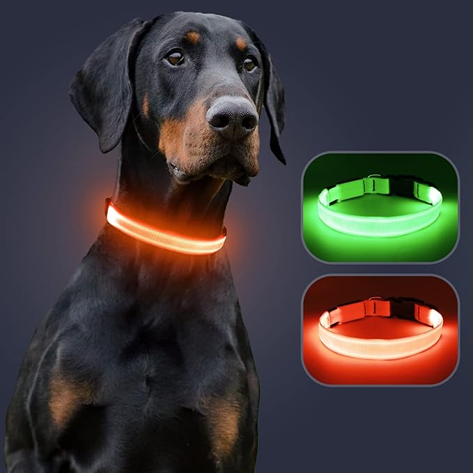 Light Up Collar at Night, LED Adjustable, Rechargeable Waterproof Dog Lights for Night Walking