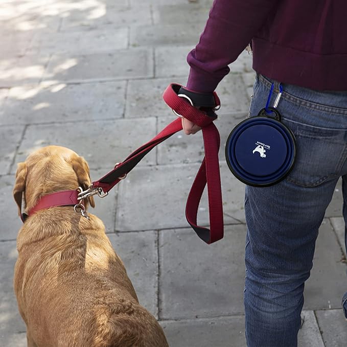 Collapsible Dog Bowls for Travel, 2-Pack Dog Portable Water Bowl for Dogs Cats Pet Foldable Feeding