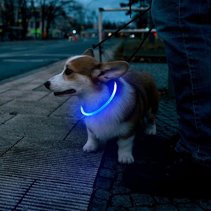 Flashseen LED Dog Collar, USB Rechargeable Glowing Lighted Up Collar, Cuttable Water-Resistant TPU