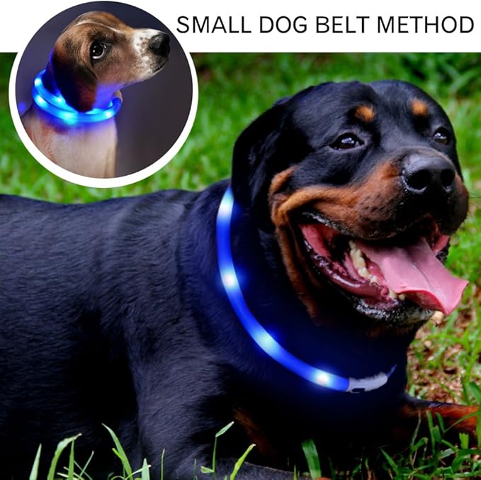 LED Dog Collar,USB Rechargeable Glowing Dog Collars, Light Up Collar Improved Pet Safety