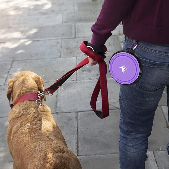 Collapsible Dog Bowls for Travel, 2-Pack Dog Portable Water Bowl for Dogs Cats Pet Foldable Feeding