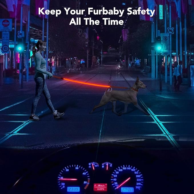 Colaseeme Light Up Dog Leash, LED Pet Leashes USB Rechargeable, Glow Safety Dogs Lights at Night