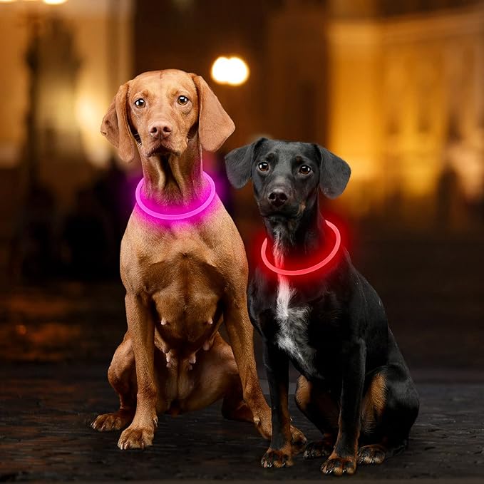 Light Up Dog Collar, Dlitk Rechargeable Cuttable LED Dog Collars, Pet Safety Light at Night Walking