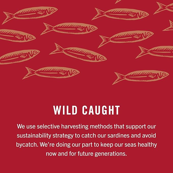King Oscar Wild Caught Sardines in Extra Virgin Olive Oil, Hot Jalapeno Peppers, 3.75 Ounce (Pack