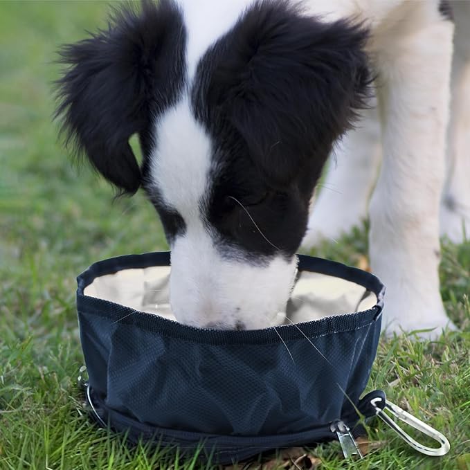 LumoLeaf Collapsible Dog Bowls, Large 68oz/80oz Lightweight Foldable Travel Bowl 10 Cups, Portable