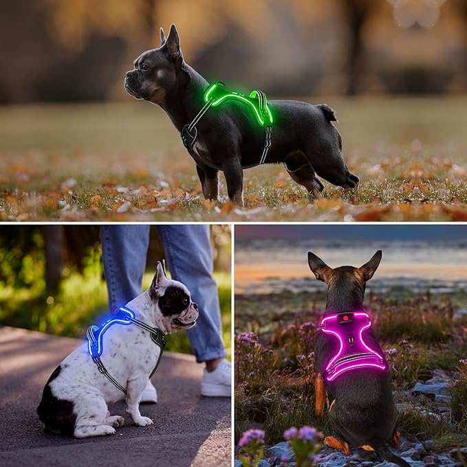 Light Up Dog Harness, No Pull LED Dog Harness with Handle, Rechargeable Lighted Safety Vest for