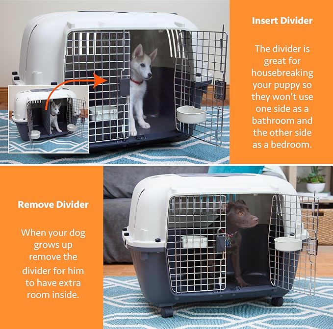 SPORT PET Designs Double Wire Door Plastic Kennel (CM-0699-CS01)