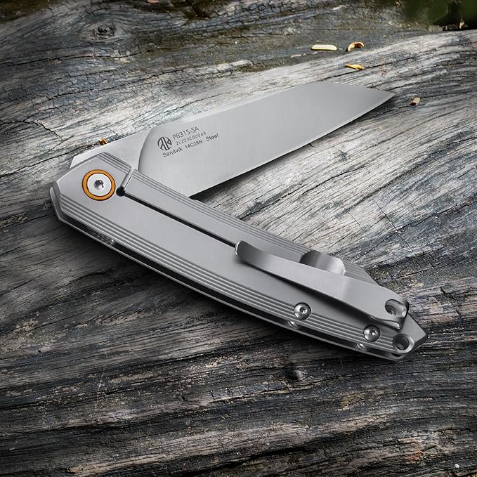 Ruike P831 Folding Tactical Knife with Clip Survival Pocket Knife Tactical EDC Tool Liner Lock