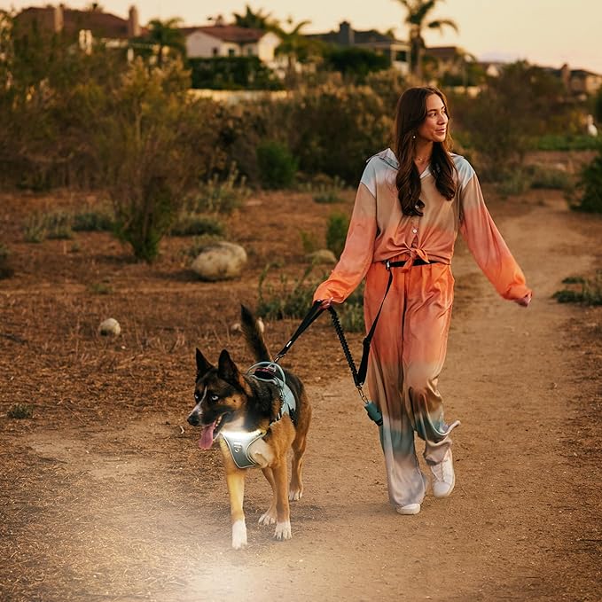 Lumi One LED Dog Harness for Night Visibility and Safety, Patent Pending?“High-Visibility Light-Up Dog Vest with 1000 Lumen LED, Rechargeable Battery, Adjustable Fit, Reflective Trim (Teal Blue, Small)