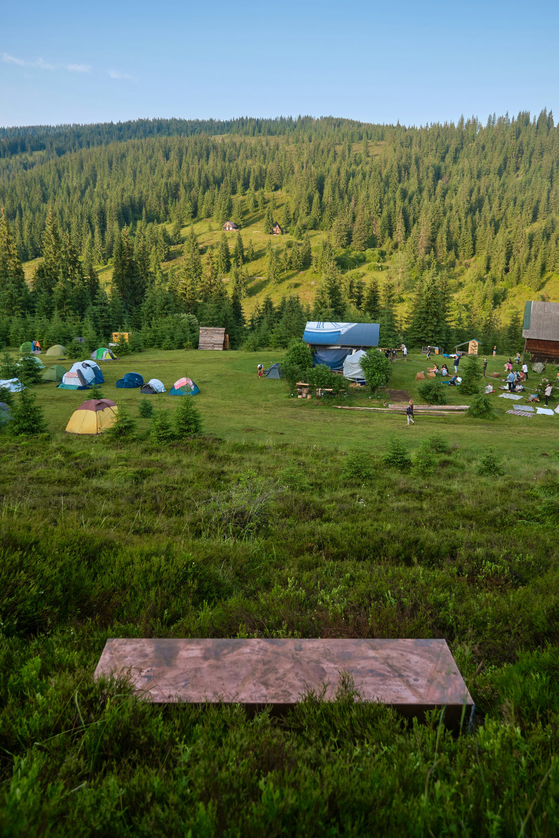 Camping in the Mountains vs the Forest