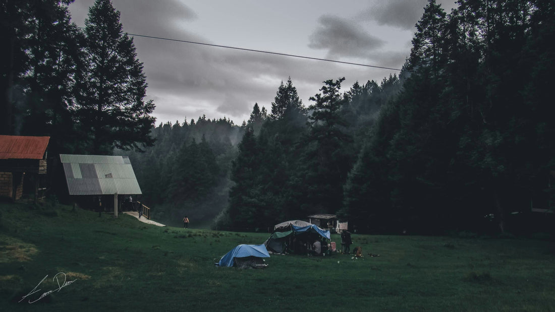 Family Camping: How to Camp with Kids Successfully