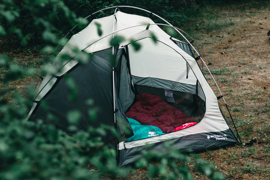 10 Must-Have Camping Essentials for Your First Trip