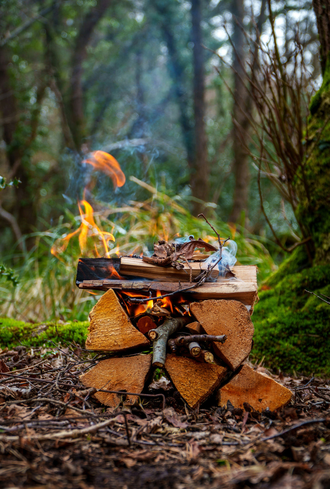Must-Have Seasonings for Every Camping Trip