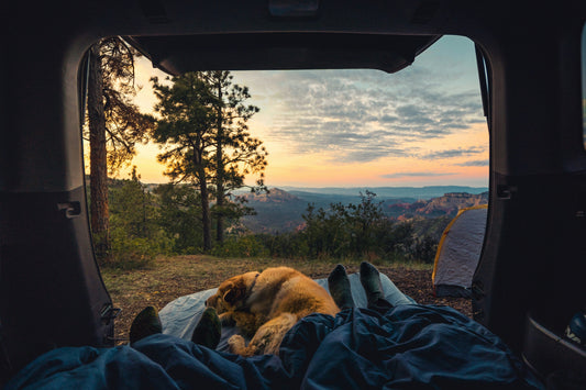 Car Camping Fire Extinguisher: A Myth-Busting Q&A