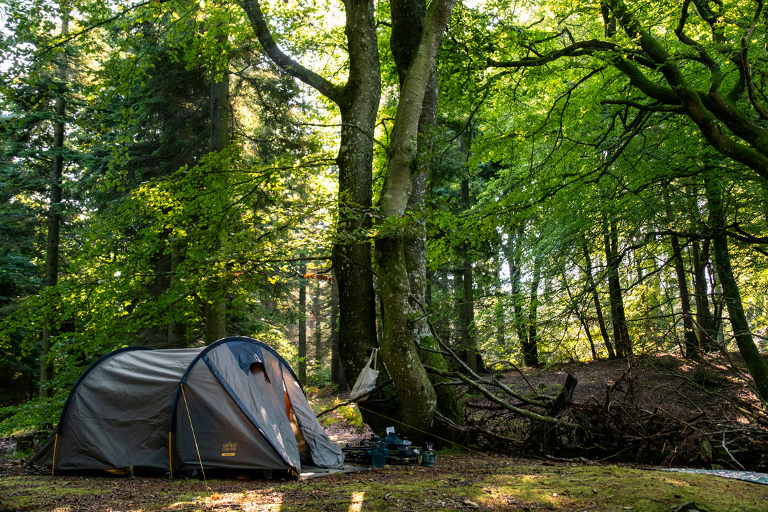 Why Camping Resets Your Mind