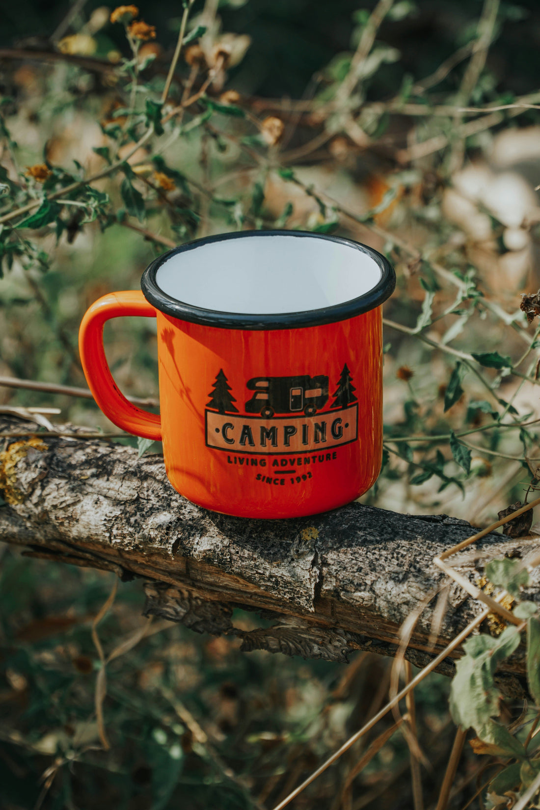 10 Must-Have Outdoor Tools for Every Adventure