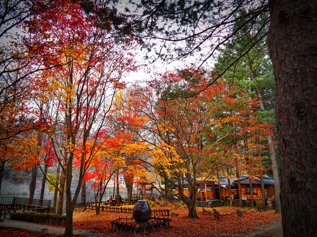 Fall Camping: What Makes It Special