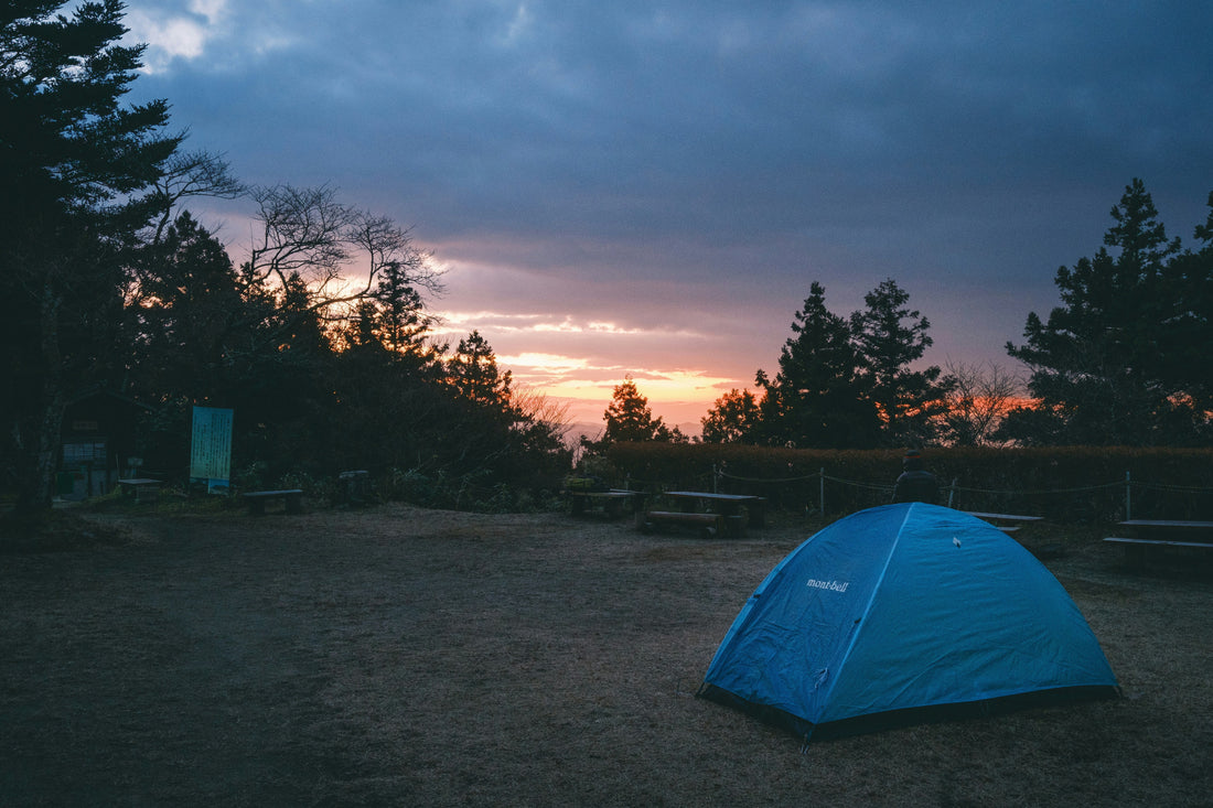 🌲 Site Selection — Quiet Nights in Any Biome