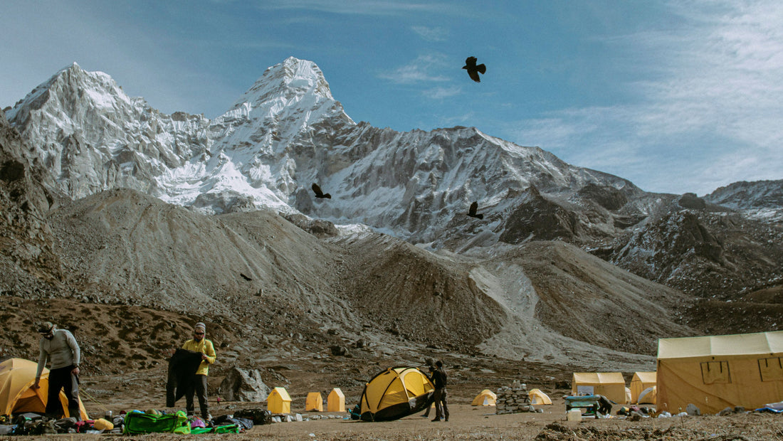Campers preparing tents at a scenic mountain campsite with snowy peaks and birds flying.