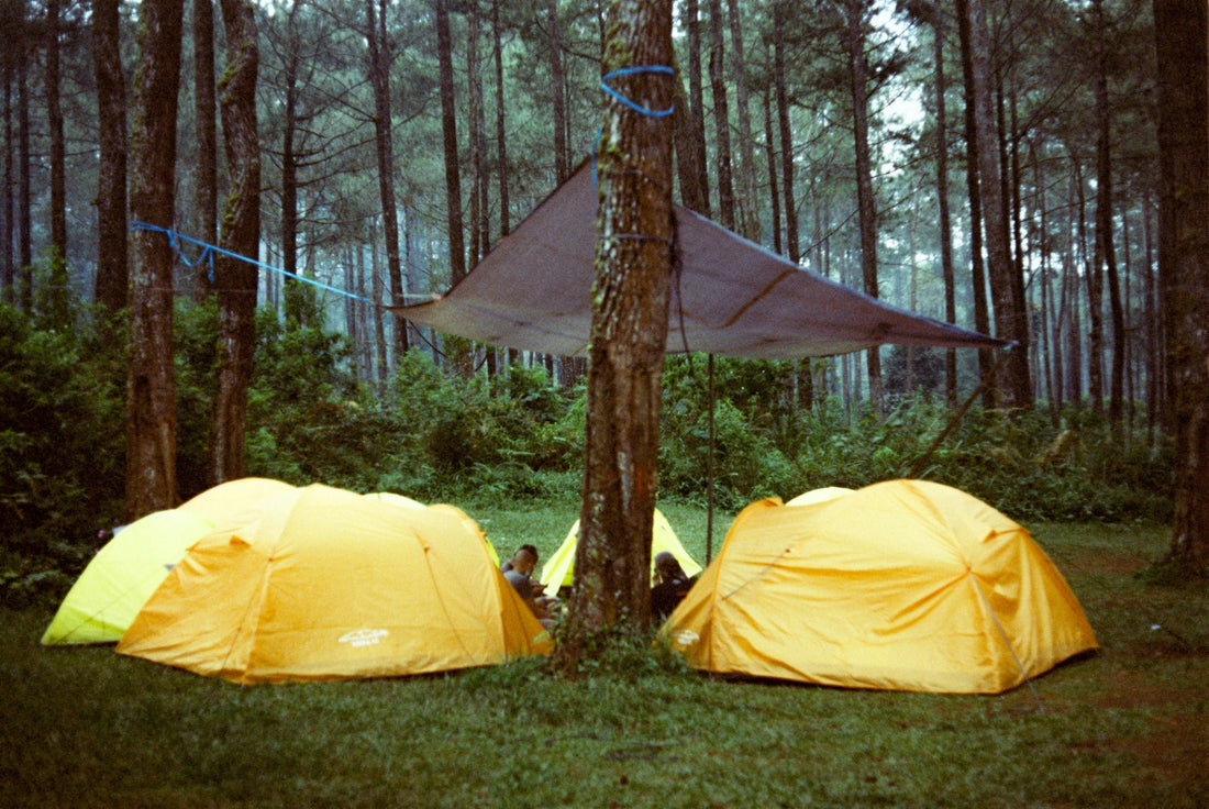 How to Choose the Right Tent for Your Camping Style