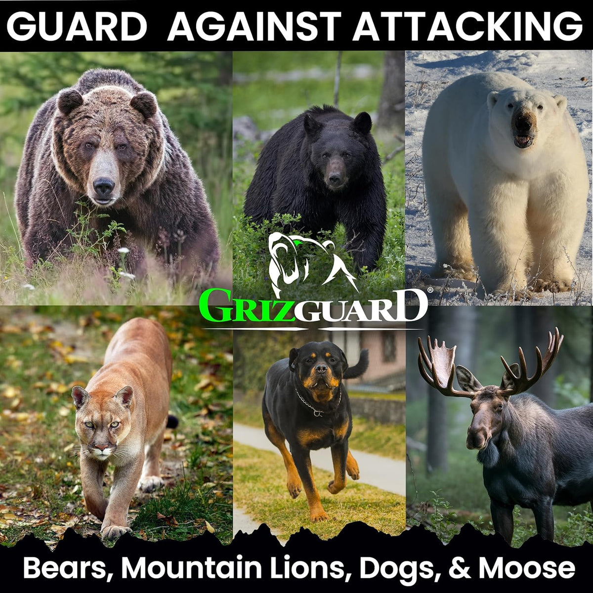 Bear Spray with Holster -Maximum Strength 7.9 oz, 40-Foot Range, EPA-Registered Bear Deterrent