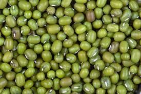 Spicy World Mung Beans (Moong Whole) 4 LBS - Ideal for Cooking & Sprouting - All Natural | Gluten
