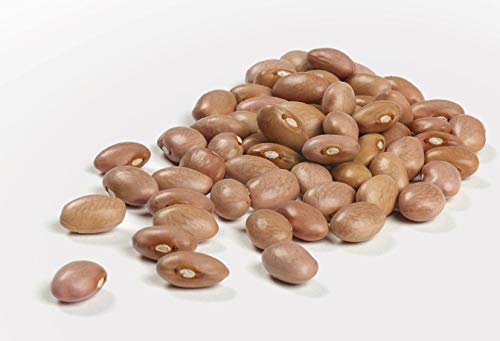 Camellia Brand Dried Pink Beans ??Premium Non-GMO Legumes for Southwestern Chili, Puerto Rican