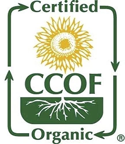 McCabe Organic Whole Mung Bean - Mung Beans Organic | Rich with Fiber & Minerals | USDA and CCOF