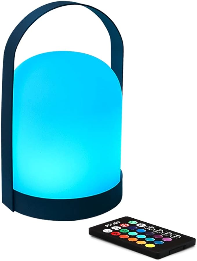 Mr.Go Portable LED Lantern Table Lamp | Cordless & USB Rechargeable | Remote Control & Dimmable |