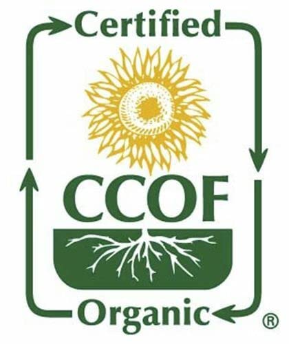 McCabe Organic Coix Seed - Job's Tears 2 Lbs| High Protein and Fiber | USDA and CCOF Certified |