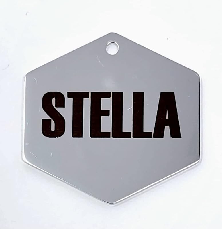 Dr. Fremont's Stainless Steel ID Dog Tags Engraved for Pets Personalized for Cat or Dog Collar Bold