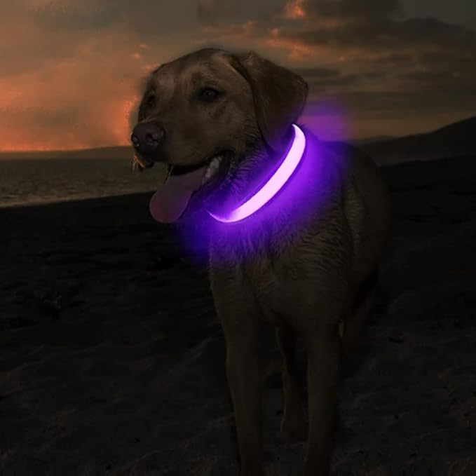 MASBRILL Light Up Collar, LED Rechargeable Glow Flashing Night Collar, Waterproof, 4 Colors, 3