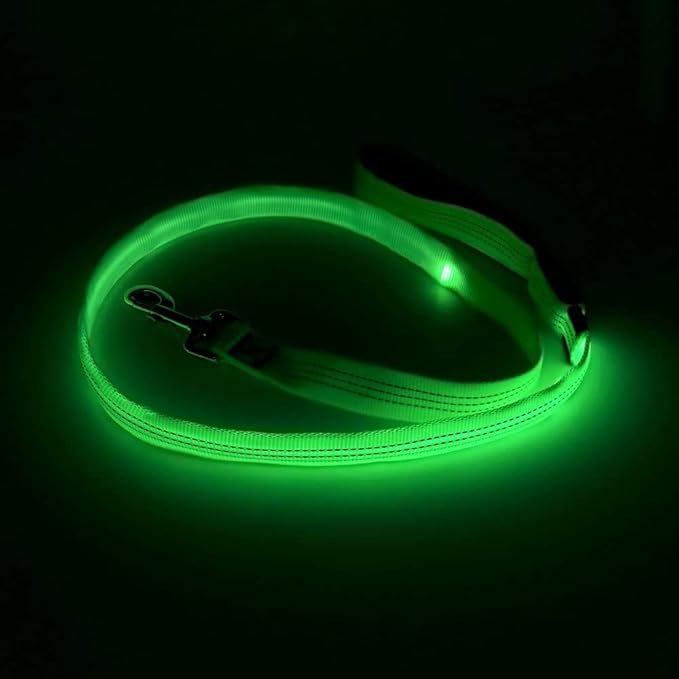 Candofly Glowing LED Dog Leash, Rechargeable Pet Leash with Lights, 4 Ft Light Up Dog Leash for
