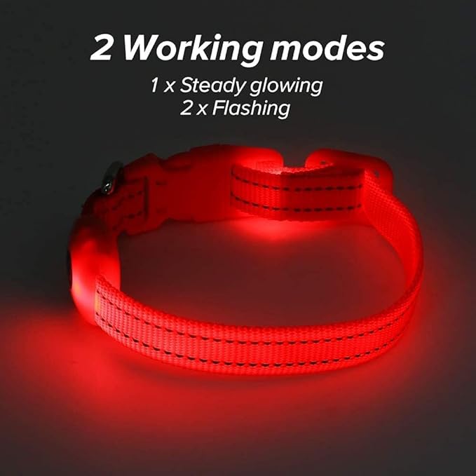 BSEEN Light Up Dog Collar, Reflective LED Dog Collar Rechargeable Glowing Puppy Collars for Small