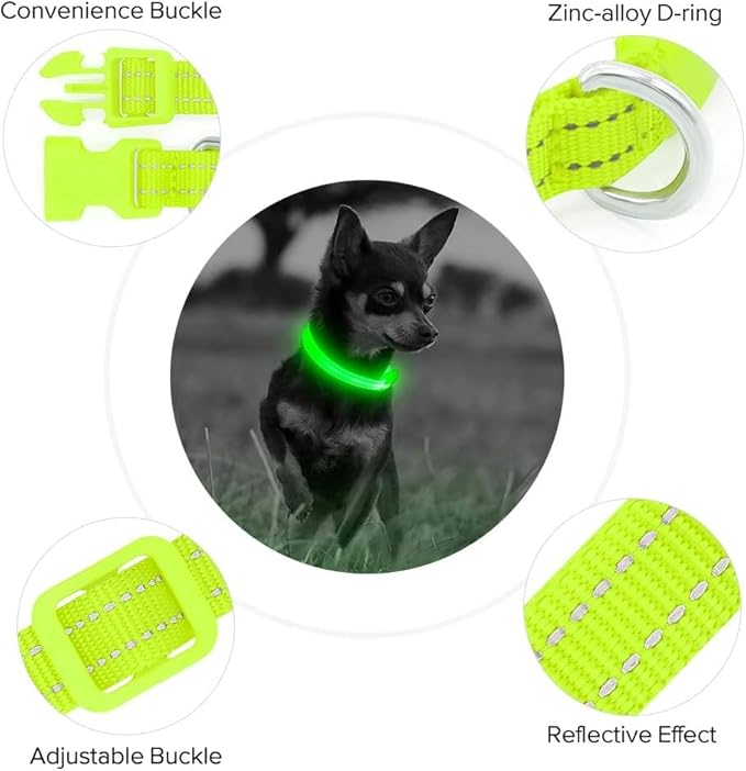 BSEEN Light Up Dog Collars - Glowing LED Dog Collar Rechargeable Puppy Collar for Small Dogs &