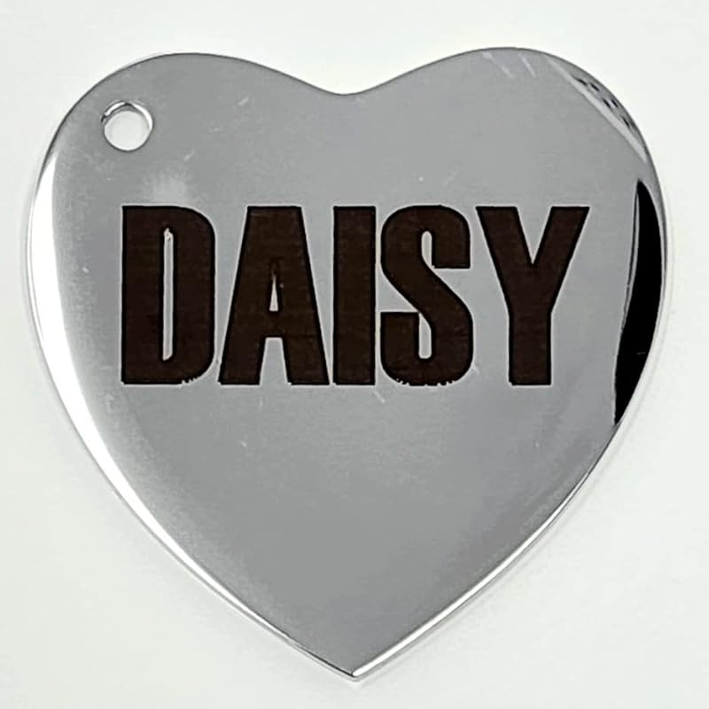 Dr. Fremont's Stainless Steel ID Dog Tags Engraved for Pets Personalized for Cat or Dog Collar Bold