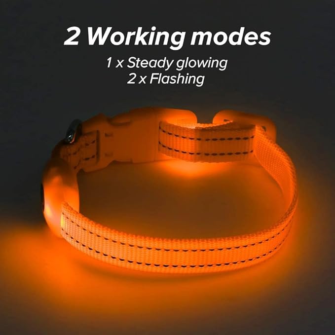 BSEEN Light Up Dog Collar, Reflective LED Dog Collar Rechargeable Glowing Puppy Collar for Puppies