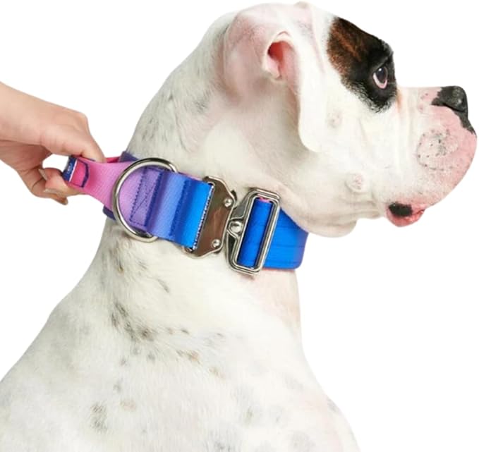 Spark Paws Tactical Dog Collar with Handle - Premium Quality Collar, Robust and Durable Design for
