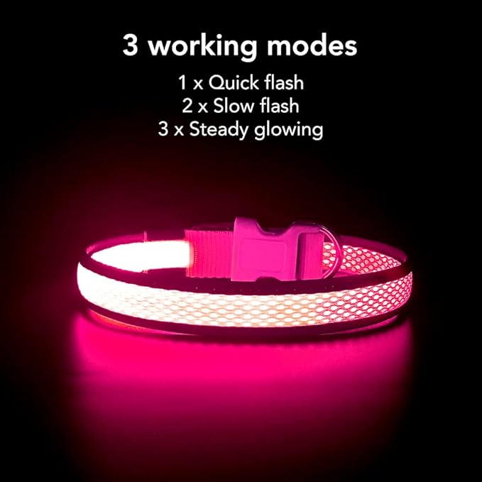 YFbrite Light up Dog Collar, USB Rechargeable LED Puppy Collar Super Bright Adjustable Glowing Dog