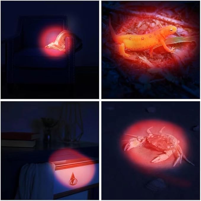 12 Pack Ultra Bright Red LED Keychain Flashlight, Red Keychain Flashlight for Night Observation