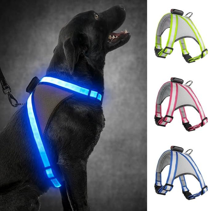 Visinite LED Dog Harness, USB Rechargeable Light Up Dog Vest, 2 Illuminate Modes Glow in The Dark
