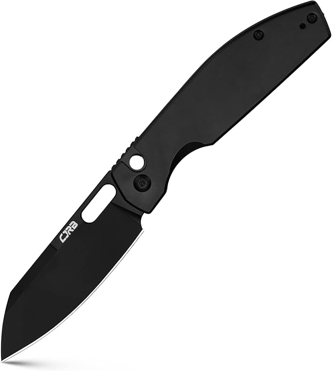 CJRB Pocket EDC Knife Ekko(J1929) Button Lock Small Folding Knife AR-RPM9 Steel Blade and Black PVD