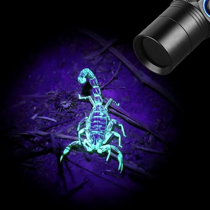 Rechargeable Blood Tracking Flashlight for Hunting at Night