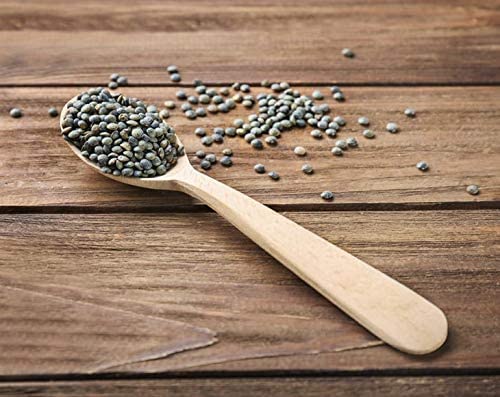 Food to Live French Green Lentils, 20 Pounds ??Whole Dry Beans, Raw, Sproutable, Vegan, Kosher