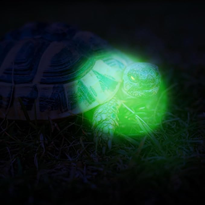 12 Pack Ultra Bright Green Light Keychain Flashlight, Mini Green LED, Green Keychain Flashlight for