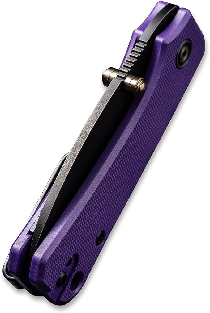 CIVIVI Baby Banter Pocket Folding Knife for EDC, 2.34" Blade Small Knife with Titanium Thumb Stud